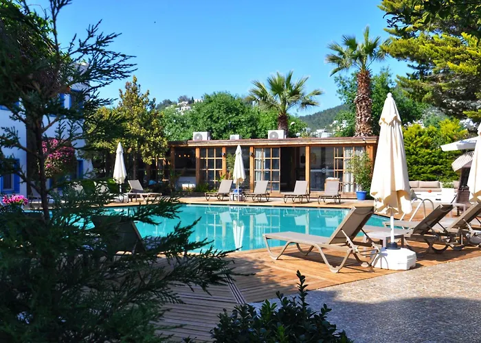 Costa Bodrum City